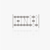 GINGO ACCOUNTANT �������