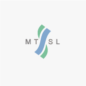 MTSL ��ͨ�滮��